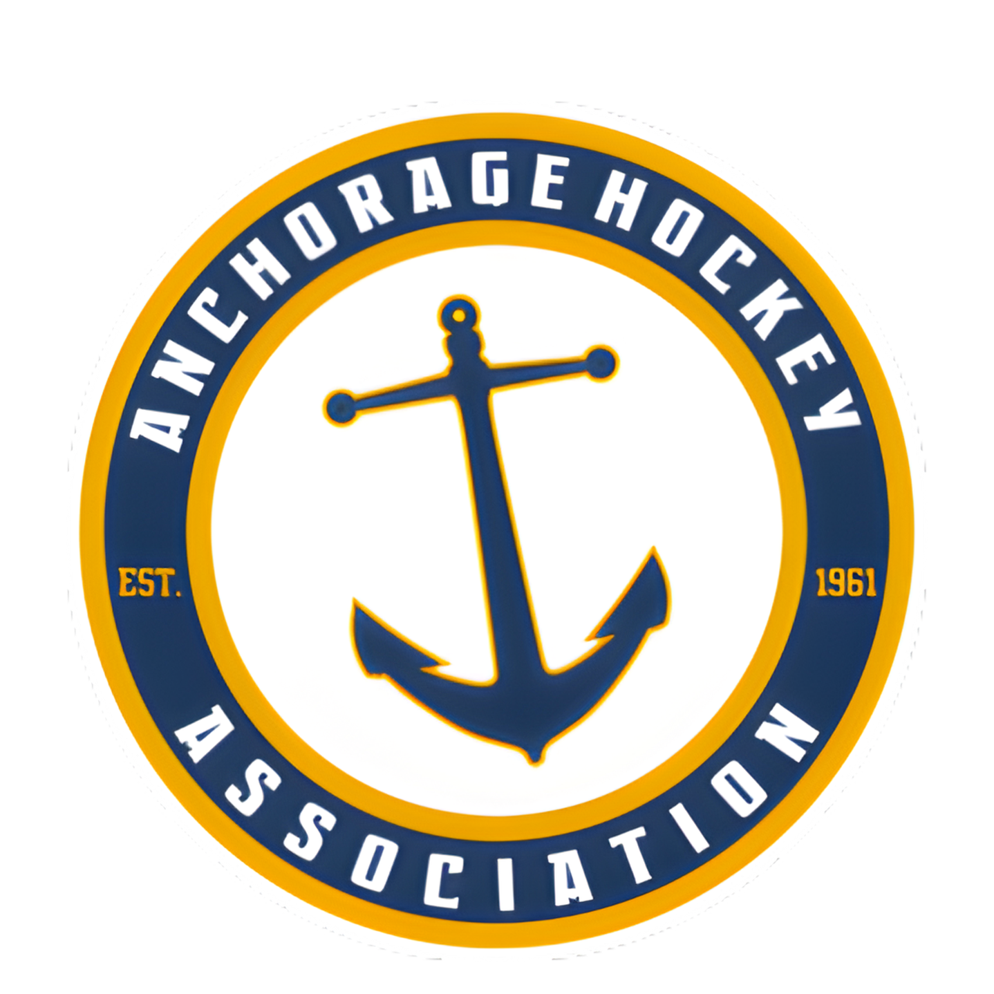 Team Logo (Sleeve/Shoulder)