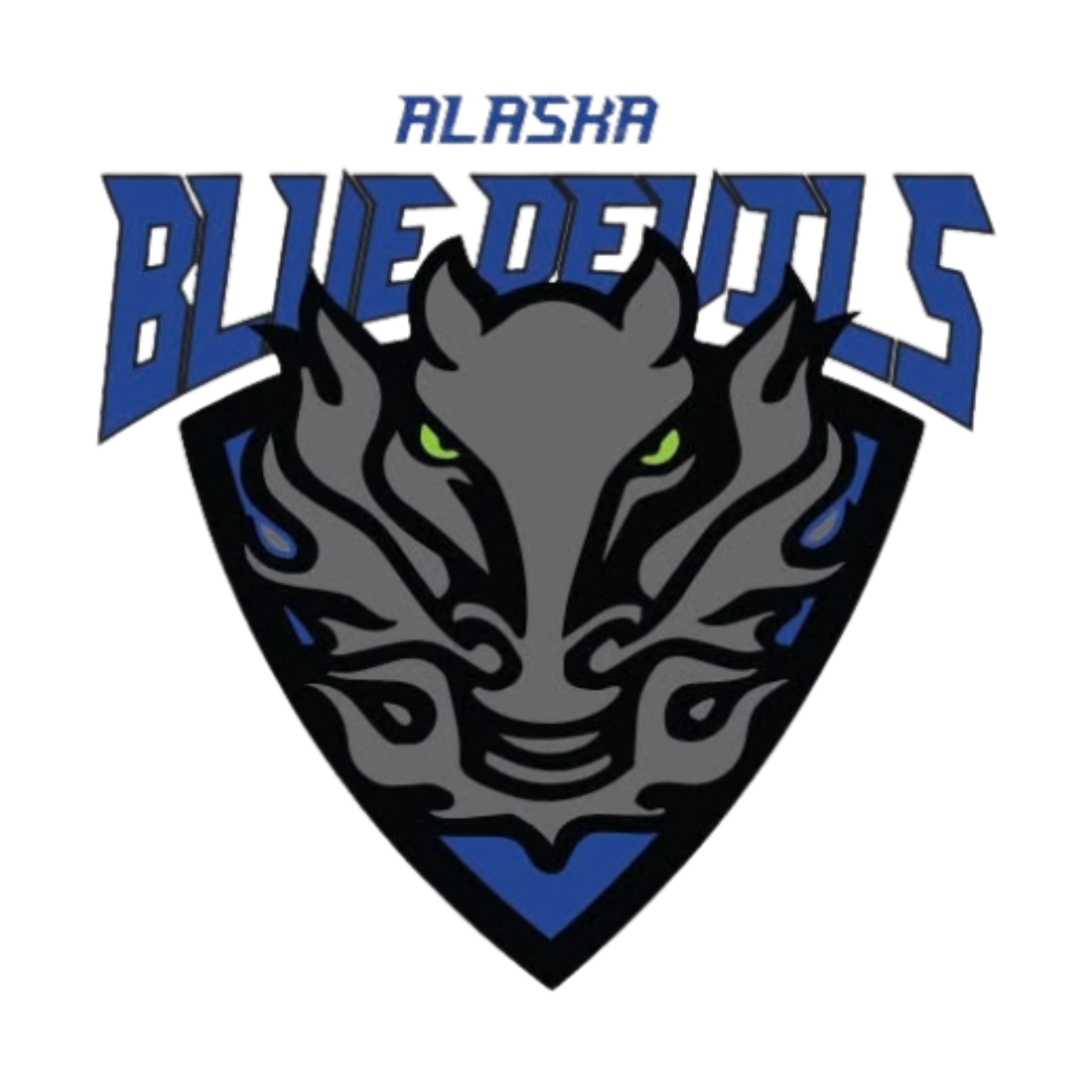 Team Logo (Sleeve/Shoulder)