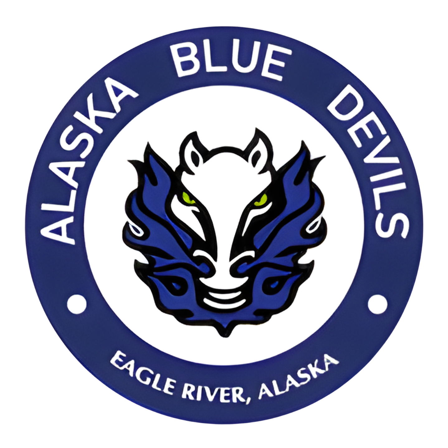 Team Logo (Sleeve/Shoulder)