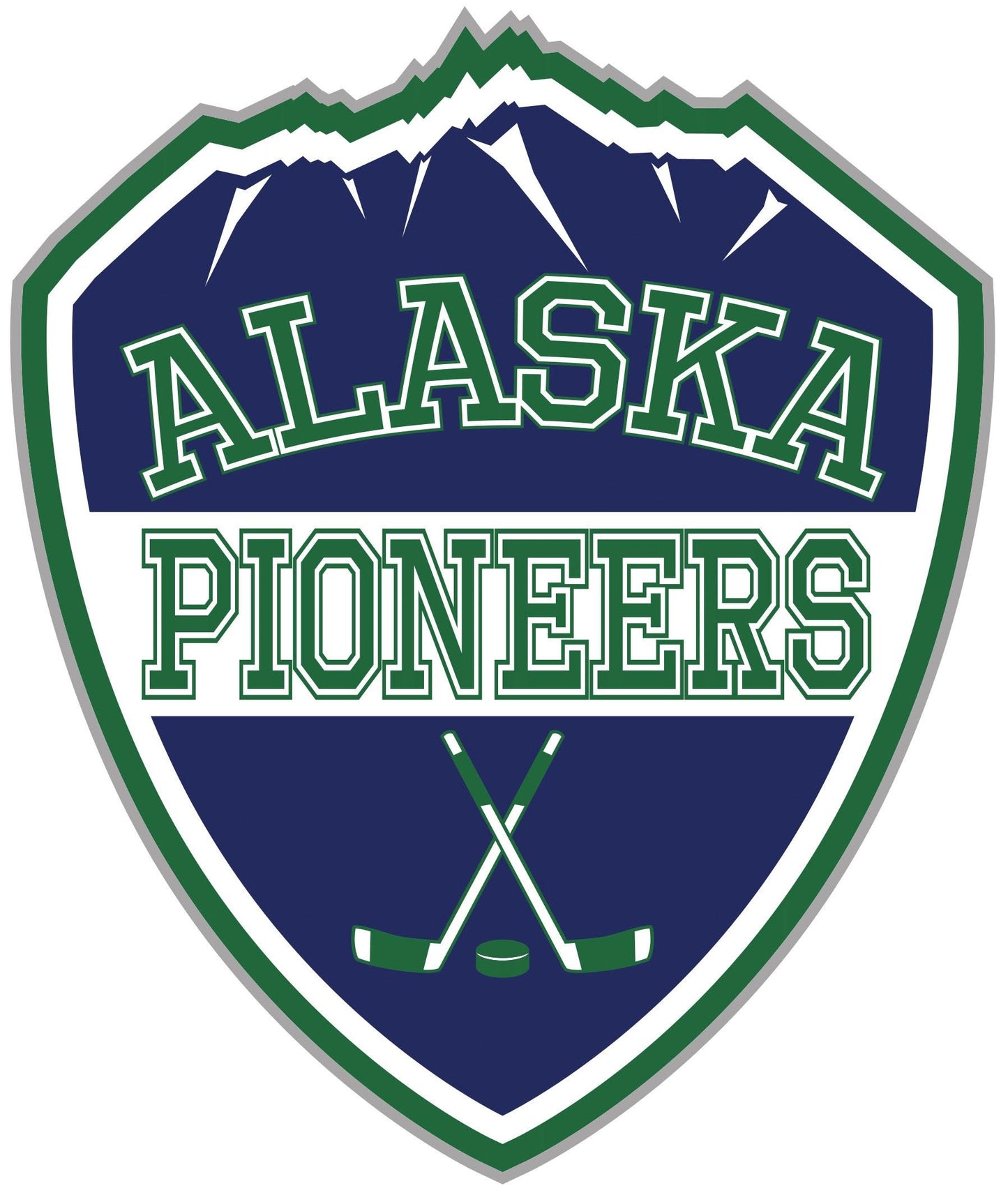 Team Logo (Sleeve/Shoulder)