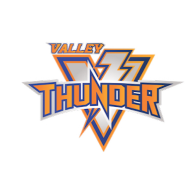 Team Logo (Sleeve/Shoulder)
