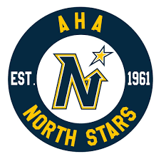 Team Logo (Sleeve/Shoulder)